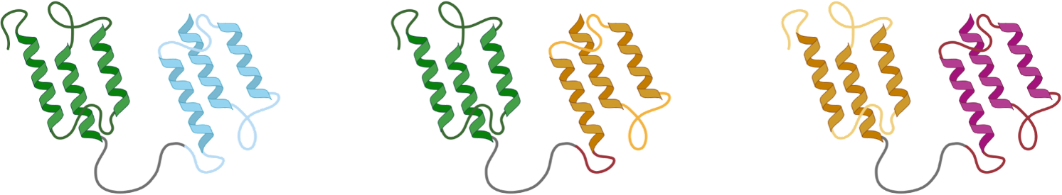 Bispecific and multispecific formats
