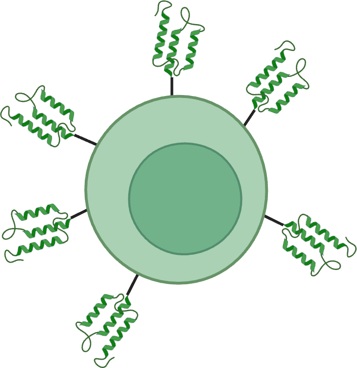 CAR-T cell engineering