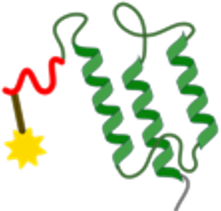 Labeling and functionalisation